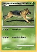 berger allemand