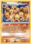 puppy