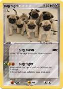 pug night
