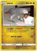 parrot