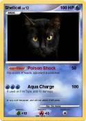 Shellcat