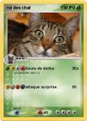 roi des chat