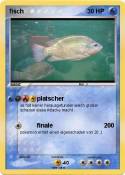 fisch