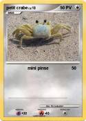 petit crabe