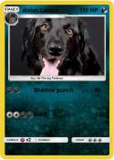 alolan Labton