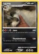 Cat king