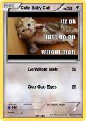 Cute Baby Cat