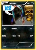 cane/dog