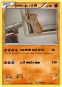 paws up, cat