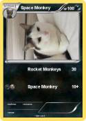 Space Monkey