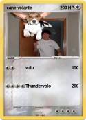 cane volante