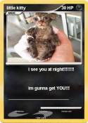 little kitty