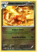 dragon flamme