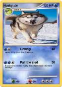Husky