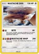 MUSTACHE DOG