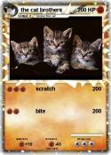 the cat brother