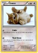 Chaton