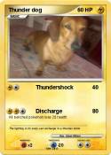 Thunder dog
