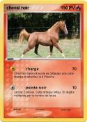 cheval noir