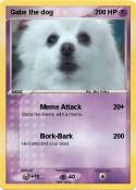 Gabe the dog