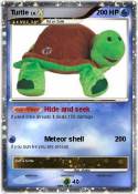 Turtle