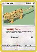 Ocelot
