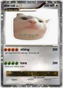 vibe cat