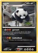 panda