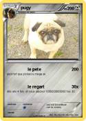 pugy