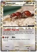 Queen Ant