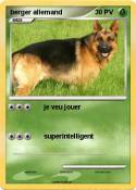 berger allemand
