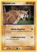 Mountain Lion