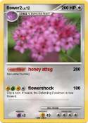 flower2