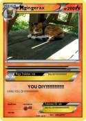 gingerax