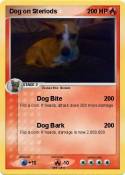 Dog on Steriods