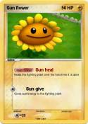 Sun flower