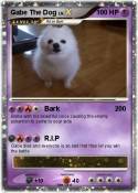 Gabe The Dog