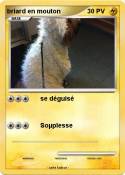 briard en