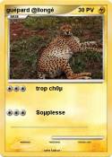 guèpard @llongé