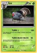 Turk