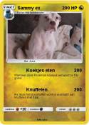 Sammy ex