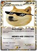 Doge
