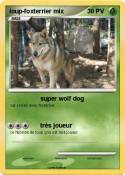 loup-foxterrier