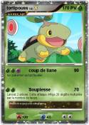 tortipouss