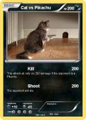 Cat vs Pikachu