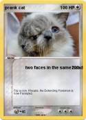 prank cat