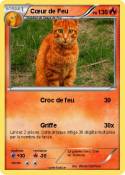 Cœur de Feu