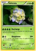 hortensia