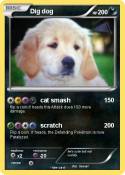 Dig dog