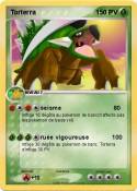 Torterra